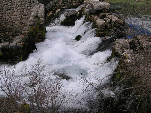 Čikola